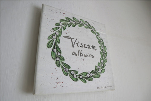 Viscum album — foto 4