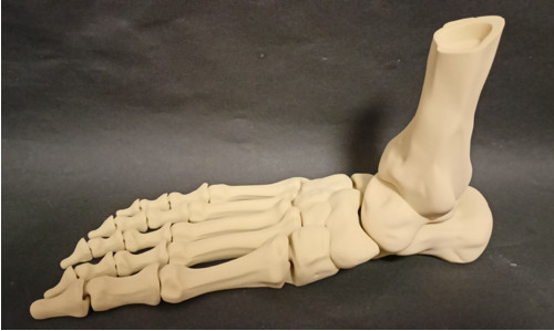 Flexi Kostěná Noha - 25 cm - 3D Tisk — foto 2