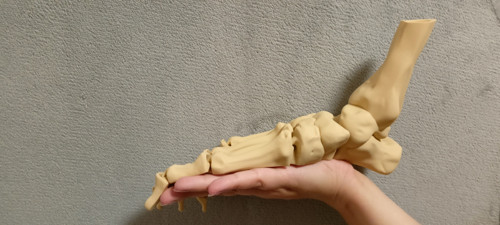 Flexi Kostěná Noha - 25 cm - 3D Tisk — foto 3