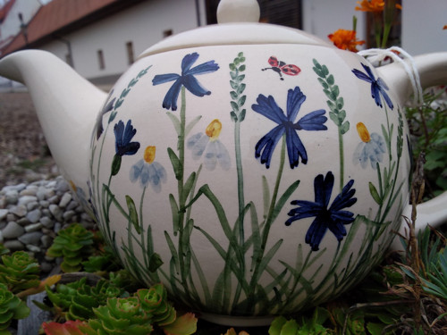 Heřmánek s chrpou — foto 3