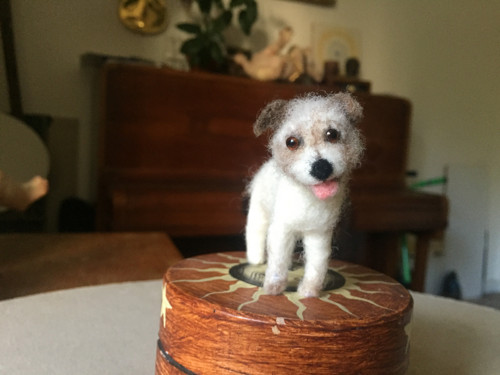 Pejsek — foto 4