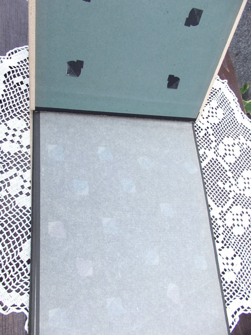 Papoušek - album — foto 2