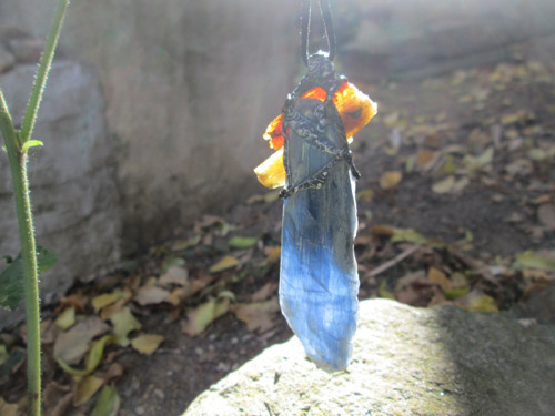 Talisman ,, Meridián " — foto 4