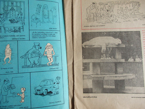 Dikobraz - časopis — foto 2