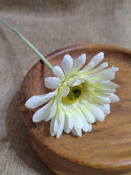 Umělá gerbera krémová — foto 2