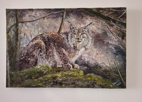 Šumavský rys — foto 2