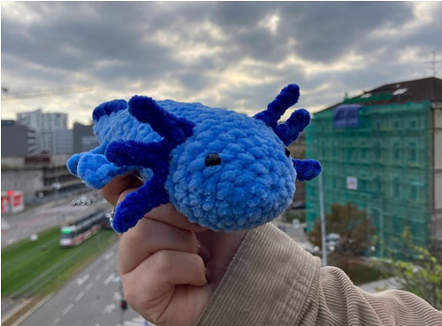Háčkovaný axolotl — foto 5