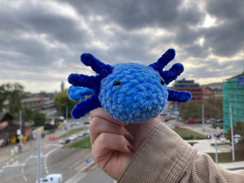 Háčkovaný axolotl — foto 2