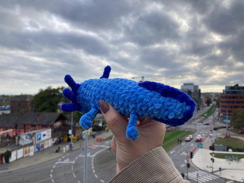 Háčkovaný axolotl — foto 4