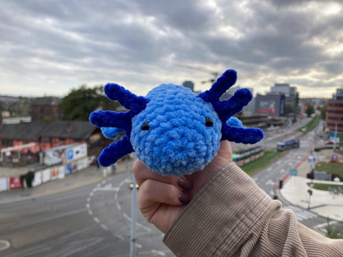 Háčkovaný axolotl — foto 3