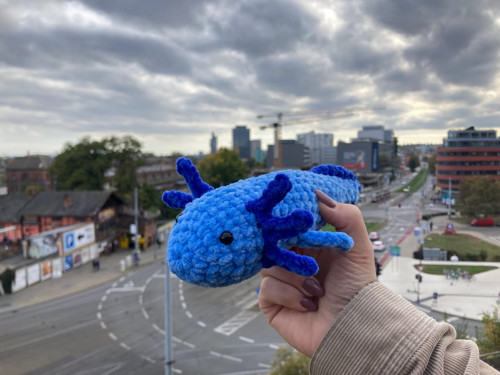 Háčkovaný axolotl — foto 6