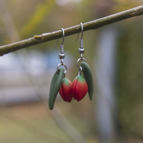 Sada - tulipány — foto 6