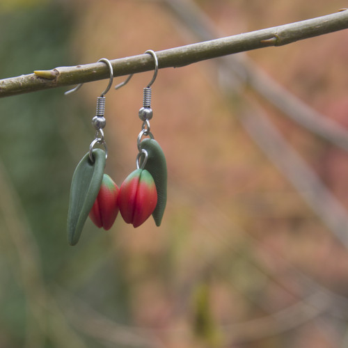 Sada - tulipány — foto 5