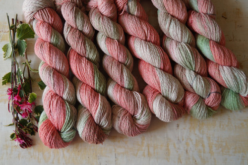Meloun 100g BH13 — foto 3