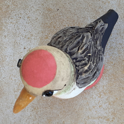 Ptáček - červenáček — foto 2