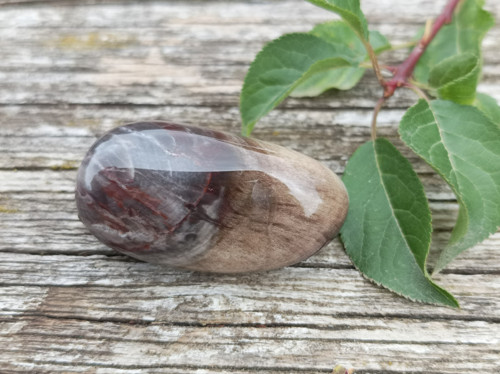 Zkamenělé dřevo tromlované č. 4 — foto 5