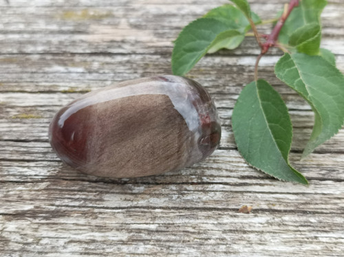 Zkamenělé dřevo tromlované č. 4 — foto 4
