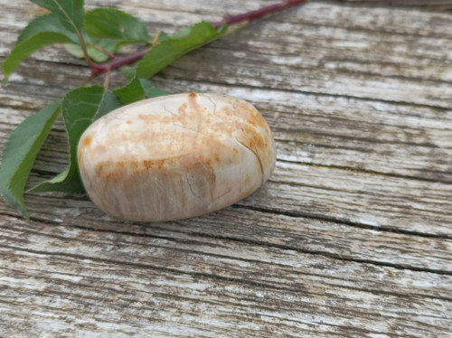 Zkamenělé dřevo tromlované č. 5 — foto 2