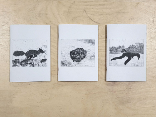 Sešit s ilustrací – Ropucha — foto 2