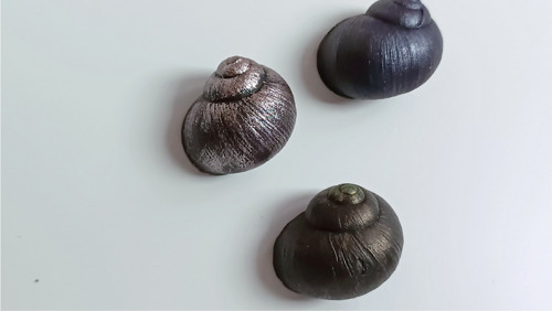 3 šnečí ulity — foto 2