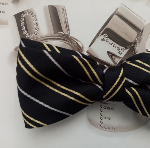 Motýlek na každý den — foto 2