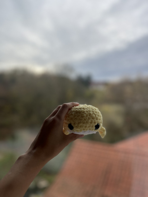 Háčkovaná velrybka — foto 3