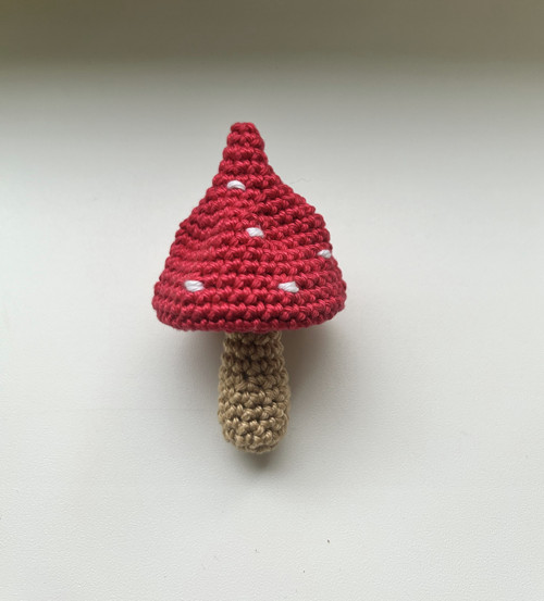 Muchomůrka červená, 1ks — foto 3