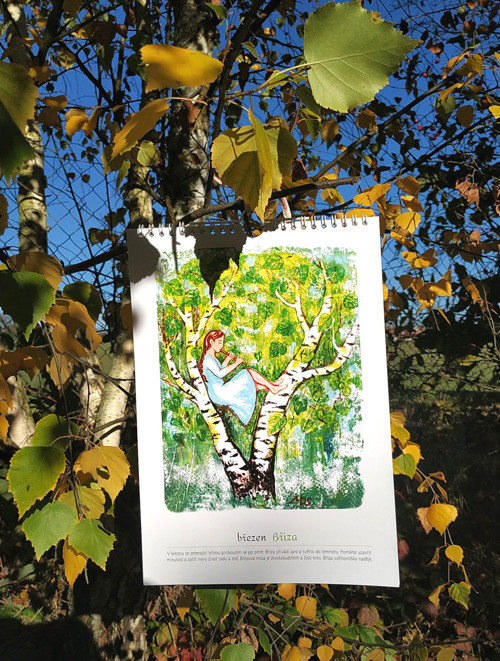 Obrázkový kalendář - měsíčník - Očima stromů — foto 5