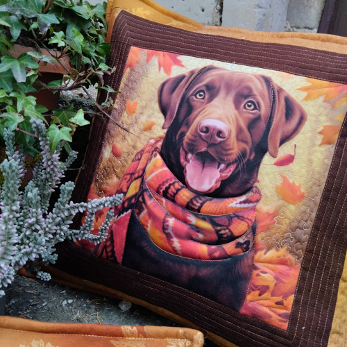 Labrador — foto 4