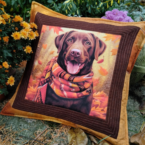 Labrador — foto 5