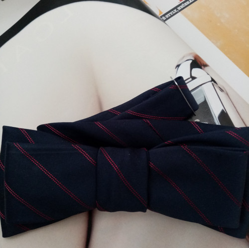 Motýlek pro každý den — foto 2