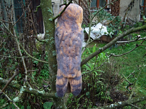 Sova pálená — foto 3