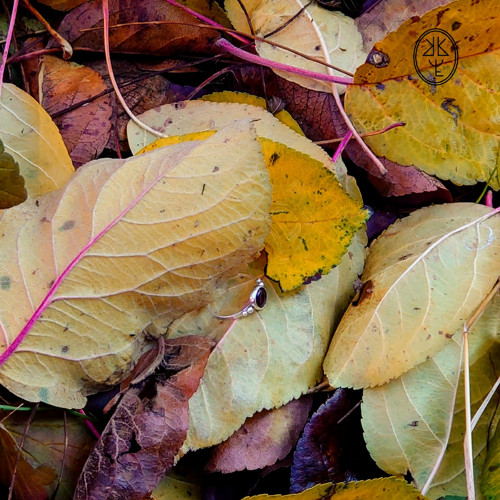 Prsten "Renesance" — foto 3