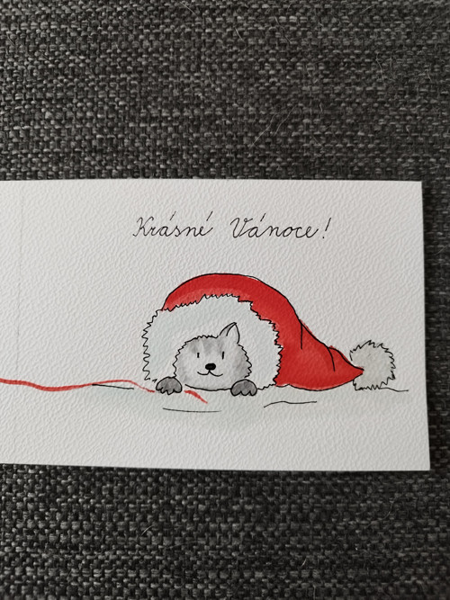 Vánoční přání — foto 2