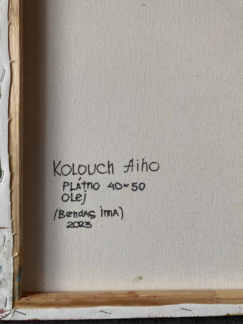 Kolouch Aiho — foto 4