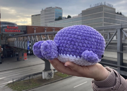 Háčkovaná velryba — foto 6