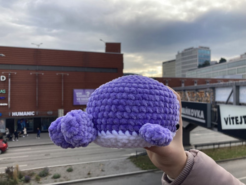 Háčkovaná velryba — foto 5