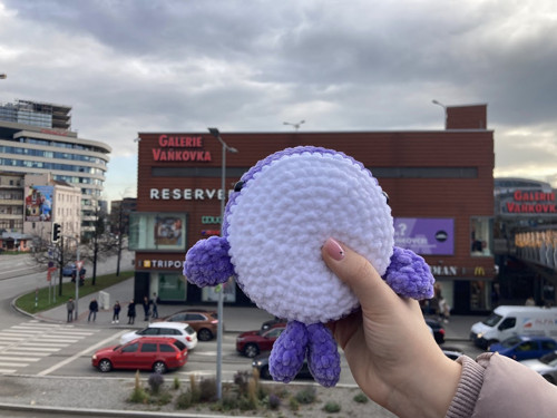 Háčkovaná velryba — foto 2