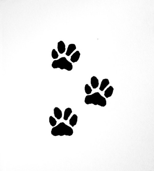 Tlapička malá. Razítko. — foto 2