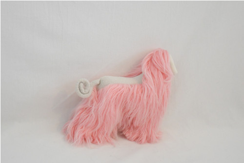 Afgánský chrt růžový — foto 4