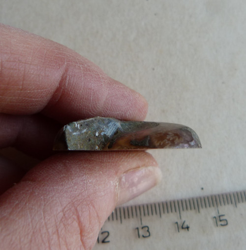 Amonit - 3,2 cm — foto 5