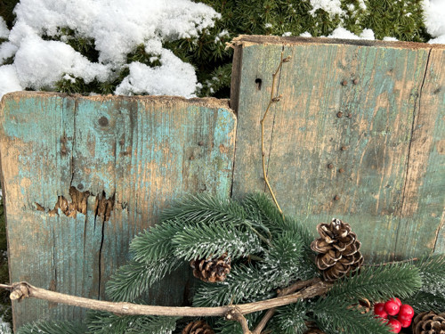 Dekorace brusle — foto 4
