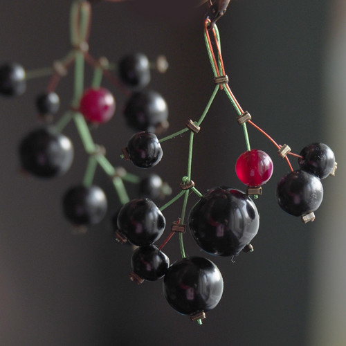Černý rybíz s acháty — foto 3