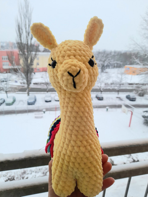 Lama — foto 4