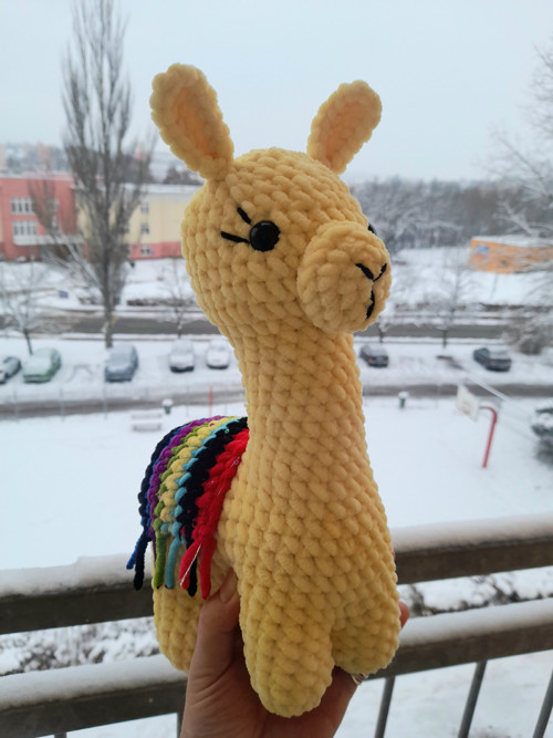 Lama — foto 5