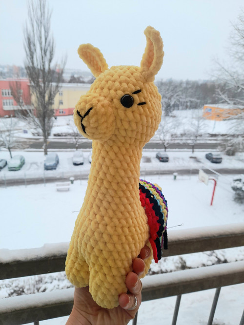 Lama — foto 3