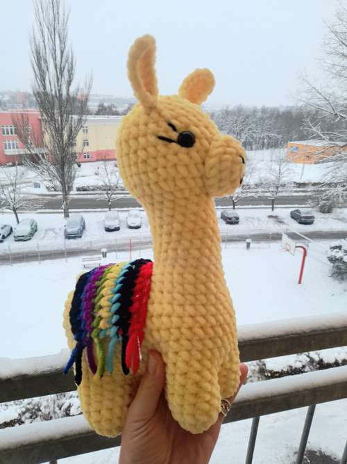 Lama — foto 2