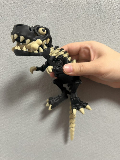 Flexi Kostěný Tyranosaurus Rex - 25 cm - 3D tisk — foto 3