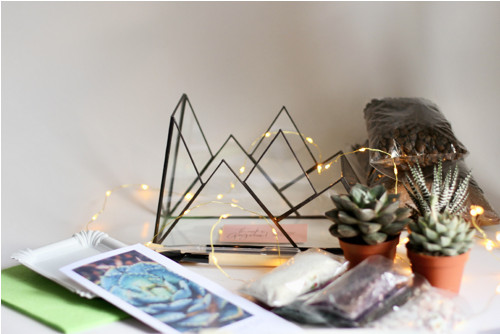 DIY sada + terárium "Alps" — foto 3