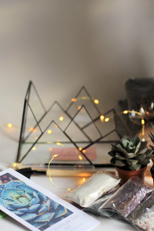 DIY sada + terárium "Alps" — foto 5